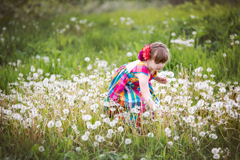 Young child picking dandelions in a green field on a sunny day
