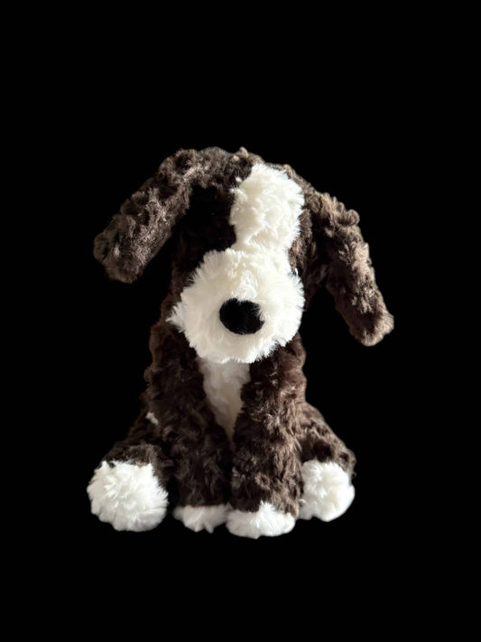 Cuddly Black and White Dog